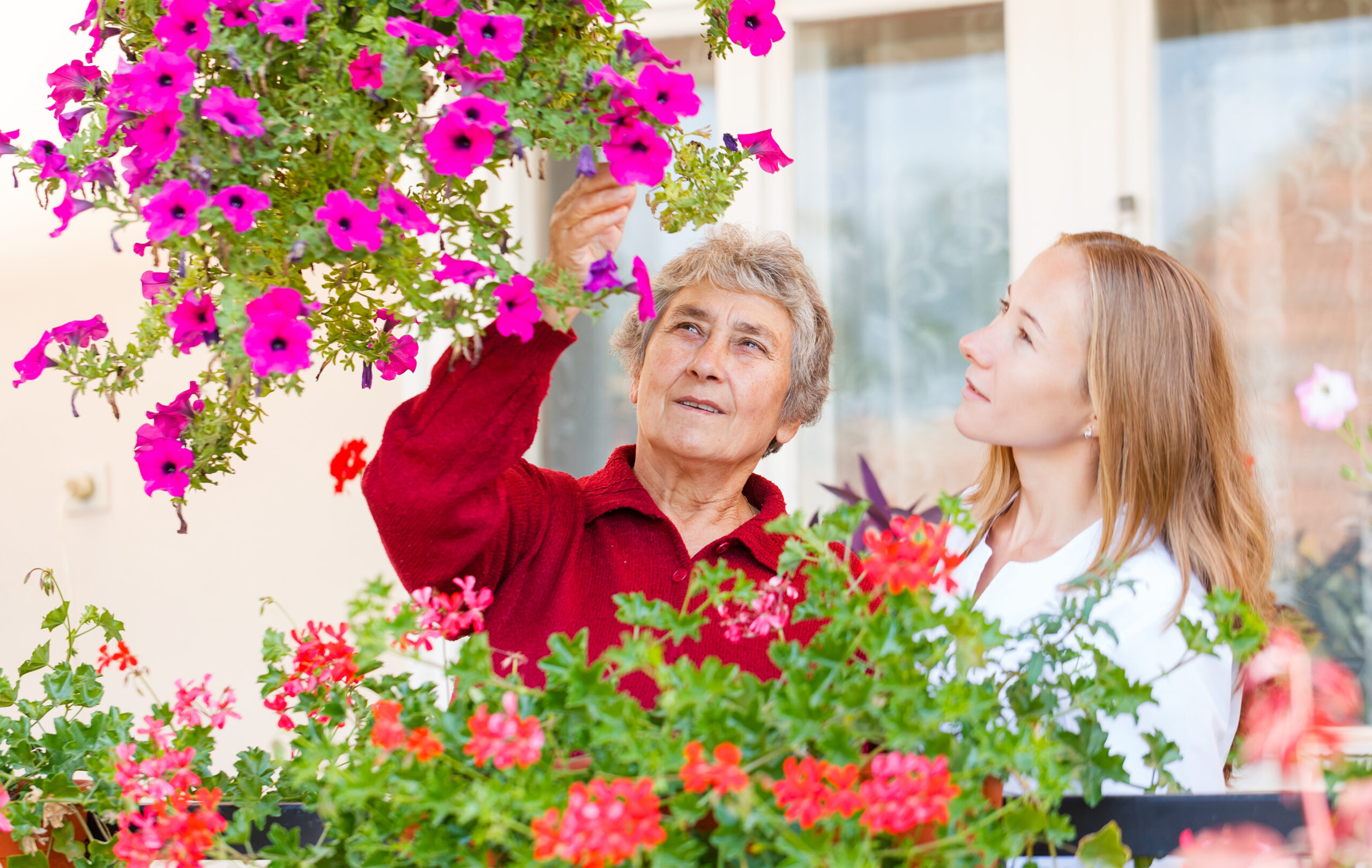 memory care flowers dreamstime xxl 35193884